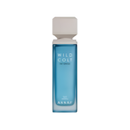 ASSAF WILD COLT INTENSE 100 ML