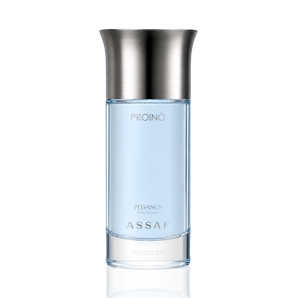 ASSAF PROINO PEGASUS