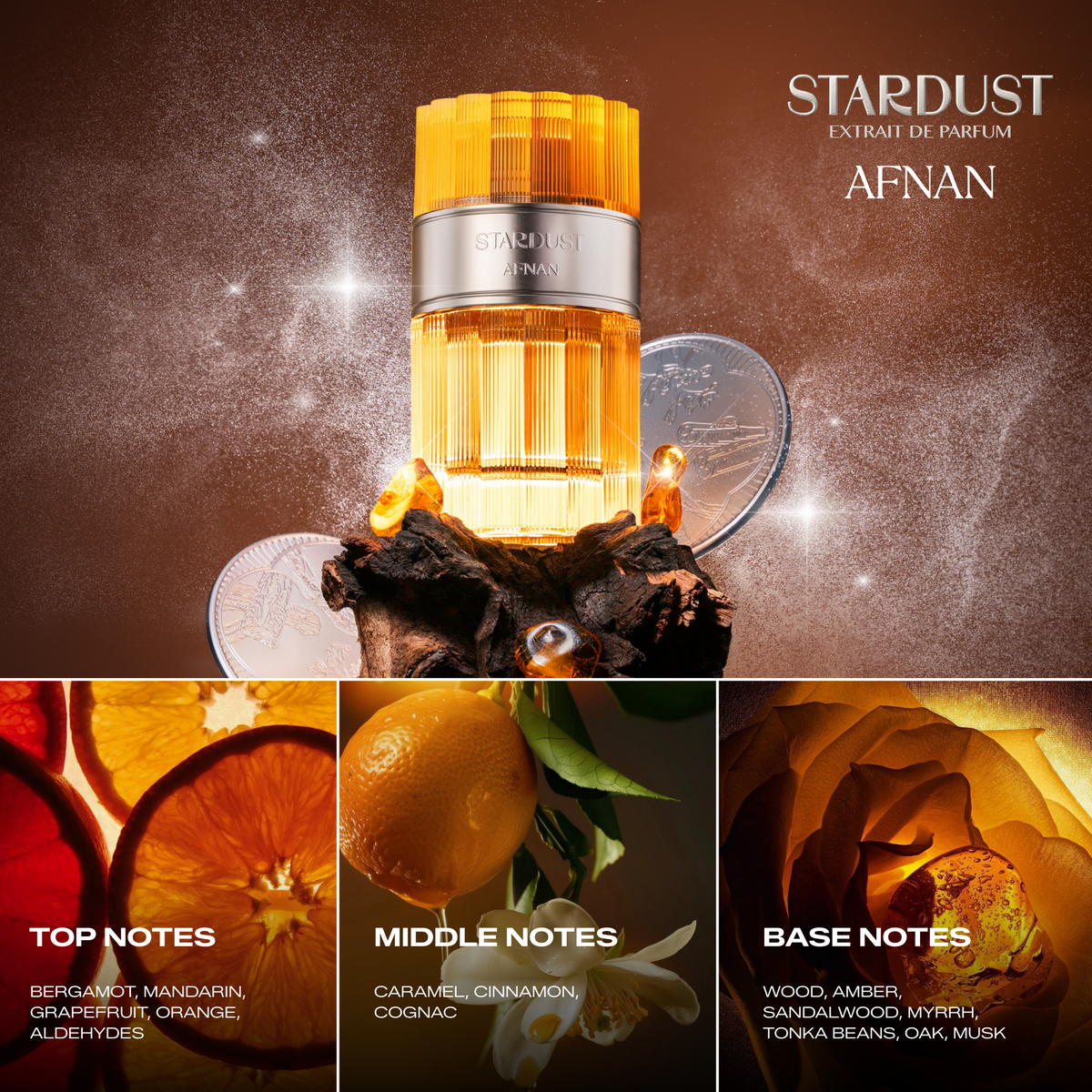 Stardust Extrait de Parfum by Afnan, featuring a golden amber glass bottle with a silver collar, displayed on a dark textured surface with coins and glowing amber accents. The top section shows the perfume bottle and the brand name, while the bottom is divided into three panels detailing the top notes (bergamot, mandarin, orange, aldehydes), middle notes (caramel, cinnamon, coñac), and base notes (wood, amber, sandalwood, myrrh, tonka beans, oak, musk) with corresponding close-up imagery.