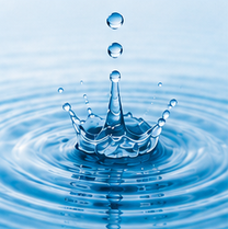 Aquatic Notes