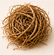 Vetiver